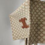 Celine Triomphe Canvas Logo — фото 12