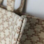 Celine Triomphe Canvas Logo — фото 14