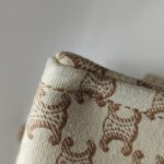 Celine Triomphe Canvas Logo — фото 15