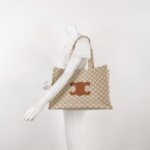 Celine Triomphe Canvas Logo — фото 2