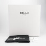 Celine Triomphe Canvas Logo — фото 9