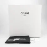 Celine Triomphe Canvas Logo (Селин) — фото 9