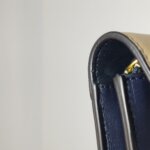 Celine Frame — фото 21