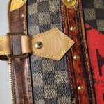 Louis Vuitton Speedy 25 V — фото 22