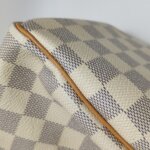 Louis Vuitton Speedy 25 — фото 18