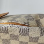 Louis Vuitton Speedy 25 — фото 21