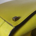 Celine Luggage — фото 14