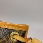 Louis Vuitton NOEBB Monogram — фото 15