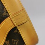 Louis Vuitton NOEBB Monogram — фото 21