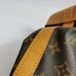 Louis Vuitton NOEBB Monogram — фото 27