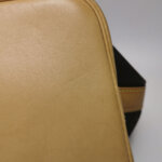 Louis Vuitton NOEBB Monogram — фото 29