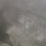 Mulberry Lily — фото 10