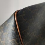 Celine Triomphe logo — фото 17