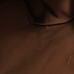 Celine Triomphe logo — фото 9