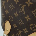 Louis Vuitton Alma BB Monogram — фото 21