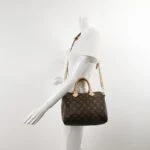 Louis Vuitton Speedy 25 Monogram (Луи Виттон) — фото 2