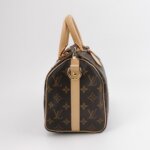 Louis Vuitton Speedy 25 Monogram — фото 4