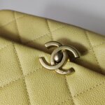 Chanel Flap Bag — фото 14