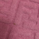 Fendi Sunshine F — фото 21