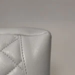 Chanel 31 Bag (Шанель) — фото 16