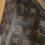 Louis Vuitton NOEBB Monogram — фото 20