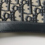 Dior Saddle Oblique — фото 13