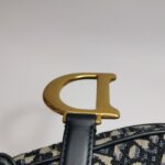 Dior Saddle Oblique — фото 14