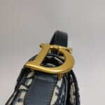 Dior Saddle Oblique — фото 15