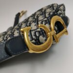 Dior Saddle Oblique — фото 16