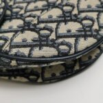 Dior Saddle Oblique — фото 17