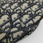 Dior Saddle Oblique — фото 20