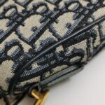 Dior Saddle Oblique — фото 21