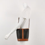 Celine Triomphe Canvas logo — фото 2