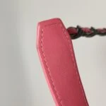 Chanel 19 Bag (Шанель) — фото 13