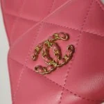 Chanel 19 Bag (Шанель) — фото 14
