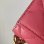 Chanel 19 Bag (Шанель) — фото 18