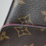 Louis Vuitton Pochette Félicie Monogram — фото 21