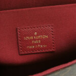 Louis Vuitton Pochette Félicie Monogram — фото 8