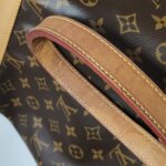 Louis Vuitton NOE Monogram — фото 22