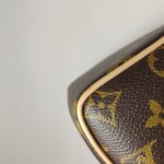 Louis Vuitton Speedy 20 Monogram — фото 15