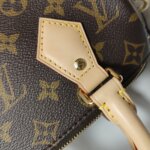 Louis Vuitton Speedy 20 Monogram — фото 16