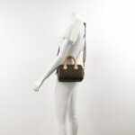 Louis Vuitton Speedy 20 Monogram — фото 2