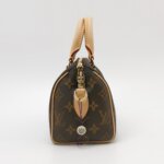 Louis Vuitton Speedy 20 Monogram — фото 3