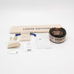 Louis Vuitton Speedy 20 Monogram — фото 9