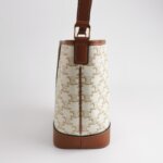 Celine Triomphe Canvas logo — фото 4