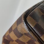 Louis Vuitton Speedy 25 — фото 20