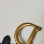 Dior Saddle Oblique — фото 10