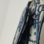 Dior Saddle Oblique — фото 13