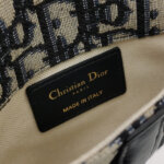 Dior Saddle Oblique — фото 8