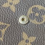 Louis Vuitton Pochette Félicie Monogram… — фото 12